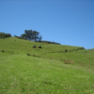2018-NZ-travel-1325