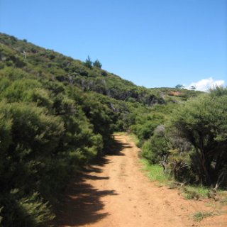 2018-NZ-travel-1327