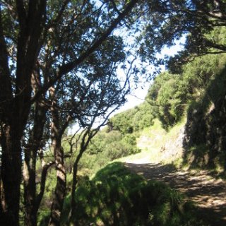 2018-NZ-travel-1335