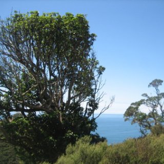 2018-NZ-travel-1336