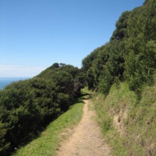 2018-NZ-travel-1337