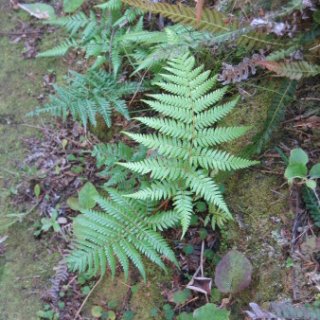 2018-NZ-travel-1338