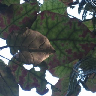 2018-NZ-travel-1339