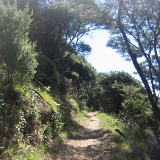 2018-NZ-travel-1340