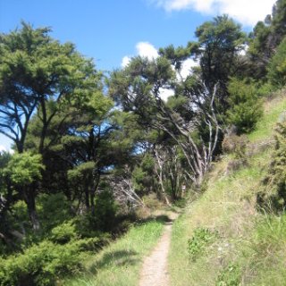 2018-NZ-travel-1342