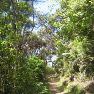 2018-NZ-travel-1344