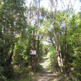 2018-NZ-travel-1347