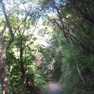 2018-NZ-travel-1351