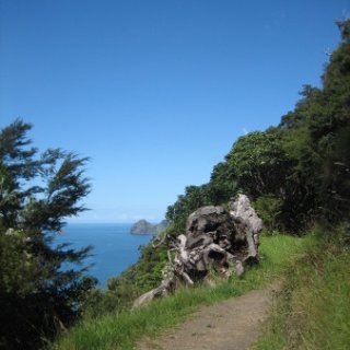 2018-NZ-travel-1353