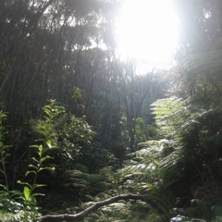 2018-NZ-travel-1355