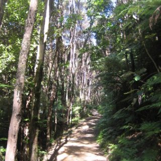 2018-NZ-travel-1357