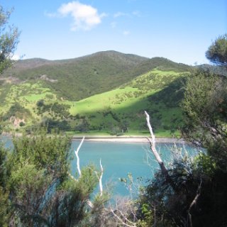 2018-NZ-travel-1358