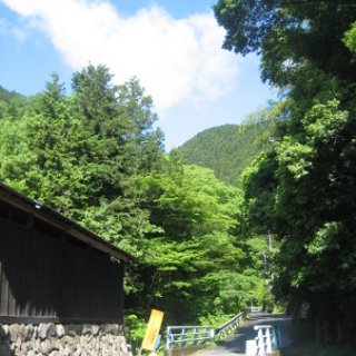 jimba-takao-2018-11