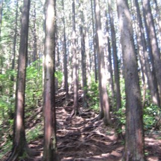 jimba-takao-2018-23