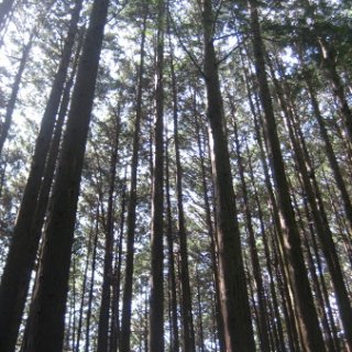 jimba-takao-2018-29