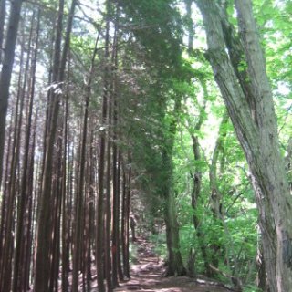 jimba-takao-2018-31