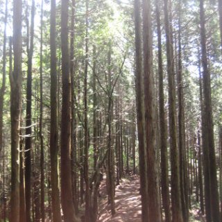 jimba-takao-2018-59