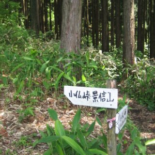 jimba-takao-2018-84