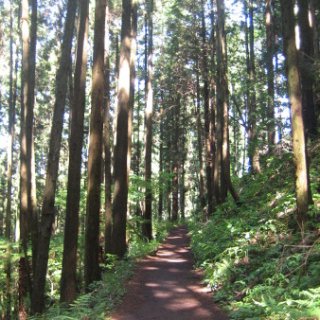 jimba-takao-2018-105