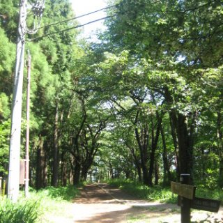 jimba-takao-2018-108
