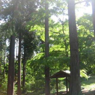 jimba-takao-2018-115