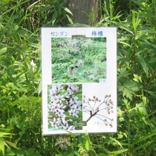 2016.08.23-19