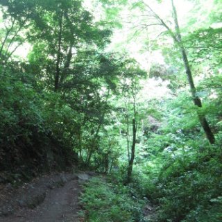 jimba-takao-2018-124