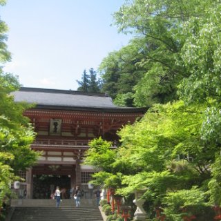 kurayma-2018-25