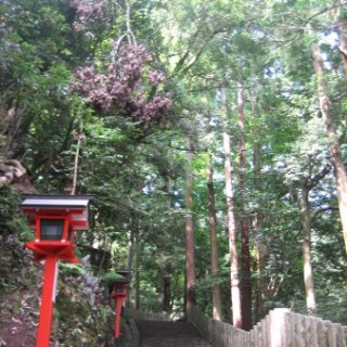 kurayma-2018-42
