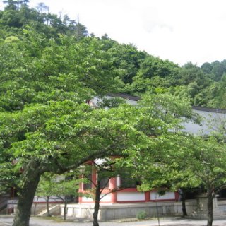 kurayma-2018-52