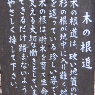 kurayma-2018-60