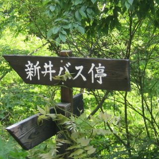 2016.08.23-41