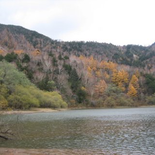 nikkou-2018-218