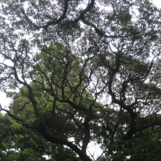 2008-kashima-01