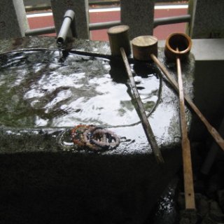 2008-kuzuryu-03