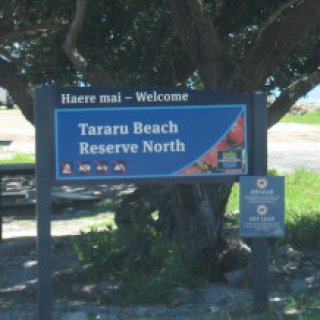 Tararu-Beachfront-North-Reserve-01