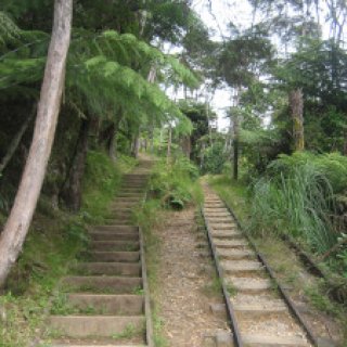 karangahake-gorge-historic-walkway-05
