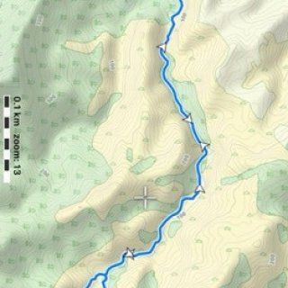 Wharekirauponga-Loop-Walk-map