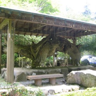 2012-hakone-13