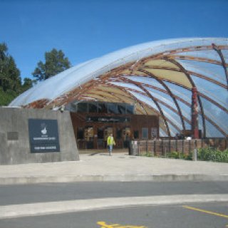 Waitomo-Glowworm-Caves-02