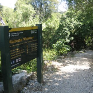 Waitomo-Glowworm-Caves-05