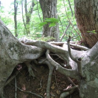 2013-hurusato-03