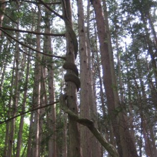 2013-hurusato-04