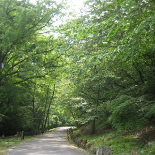2013-hurusato-09