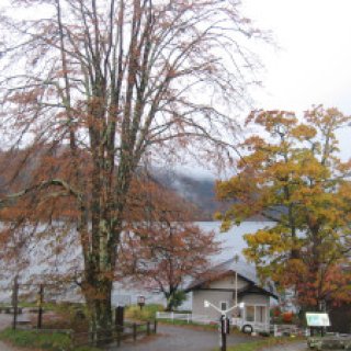 2018-10-nikko-17