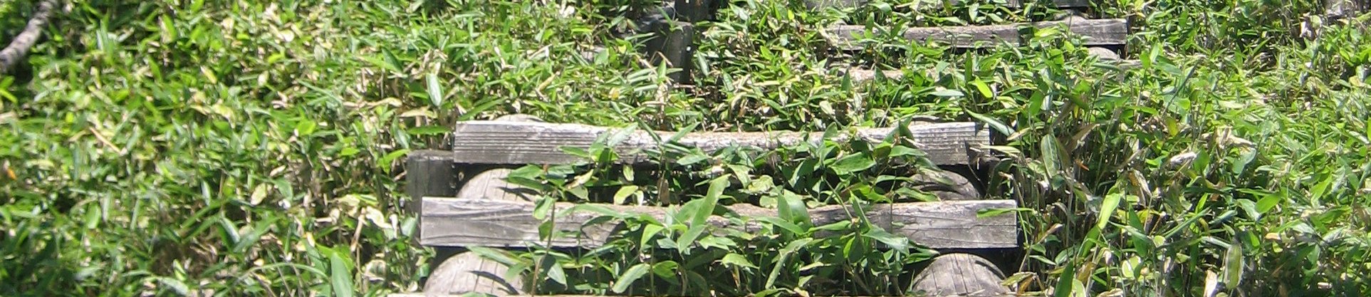 赤城山 banner image