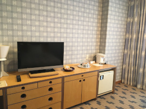 OedoKirihuri02.JPG